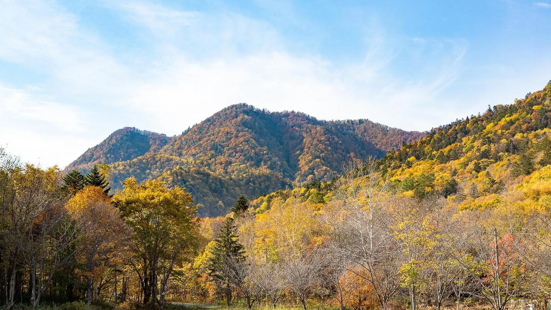 Hotel Furano Verde 3*,